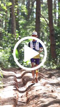 BIB:  <button type="button" onclick="openModal(26569374)" class="btn btn-primary btn-sm float-right" data-toggle="modal" data-target=".modal-high-quality">
                <i class="fa fa-download"></i> Download
                </button>